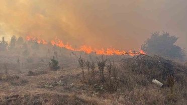 Bozüyük Hamidiye köyü yolundaki orman yangını kontrol altına alındı