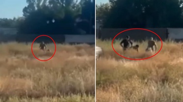Cepheye asker arayışı bu noktaya geldi! Tarlada yakalayıp götürdüler