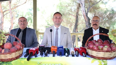 Çivril'de tarım krizi masaya yatırıldı, kiraz üreticisi ağaç söktü