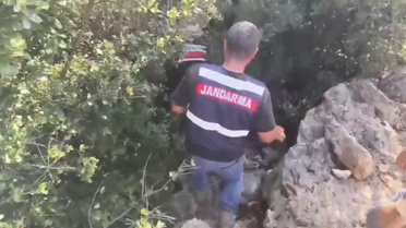 Hatay Samandağ'da dron destekli operasyonda 371 kök kenevir ele geçirildi