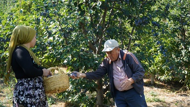 Isparta Eğirdir'de çiftçi, mürdüm eriğiyle ürün çeşitliliğini artırdı