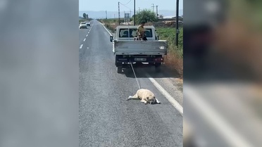 Köpeği kamyonetin arkasına bağlayıp sürükleyerek götürdü