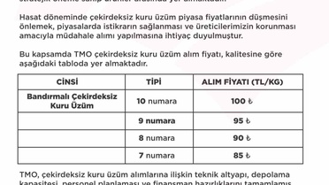 TMO çekirdeksiz kuru üzüm alım fiyatı 100 TL'ye kadar çıktı, alımlar 15 Eylül'de başlıyor