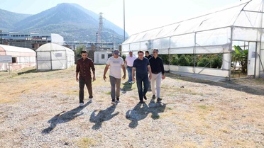 ALKÜ serasında ilk mango hasadı Rektör Türkdoğan'ın katılımıyla yapıldı