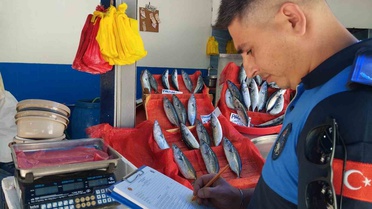 Bilecik'te balıkçı esnafına zabıta denetimi yapıldı