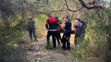 Hatay Defne'de bahçesindeki ağaçtan düşen vatandaş yaralandı