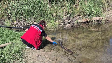 Saray Çayla Deresi'nde balık ölümleri durdu, kesin neden laboratuvarda belirlenecek