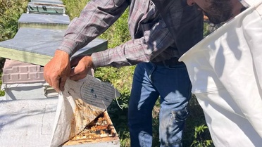 Düzce Yığılca'da arılı kovanlar için 4 köyde tespit çalışması yapıldı