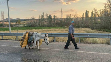 74 yaşındaki çiftçi, 2 dönüm arazide ter döküyor! Tek yardımcısı eşeği