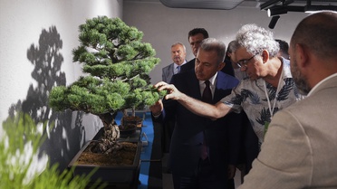 İzmir'de Bonsai Sergisi açıldı, 27 sanatçının 90'a yakın eseri görücüye çıktı