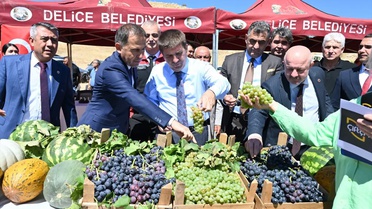 Kırıkkale Delice'de 4 bin dönümde üzüm hasadı başladı, 6 bin ton rekolte bekleniyor