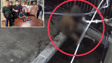 Komşusunun balığına istismarda bulundu! Verdiği ifade polisleri bile şaşkına çevirdi