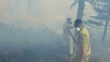 Bursa Orhangazi'deki orman yangını ekiplerin hızlı müdahalesiyle söndürüldü
