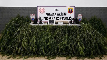 Antalya Aksu'da yasadışı kenevir operasyonunda 2 şüpheli yakalandı