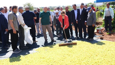 Adıyaman Gölbaşı'nda bağ bozumu şenlikleri Belören'de başladı