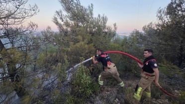 Hatay Antakya'da ormanlık alanda çıkan yangın büyümeden söndürüldü