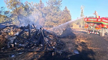 Kütahya Hisarcık'ta otluk yangını 3 hektarlık alanı küle çevirdi