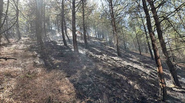 Karabük'te ormanlık alandaki örtü yangını söndürüldü