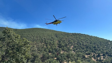 Uşak Sivaslı'da meşelikte çıkan yangın havadan ve karadan kontrol altına alındı