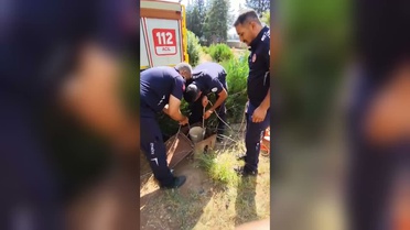 Adıyaman'da kuyuya düşen yavru kedi itfaiye ekiplerince kurtarıldı