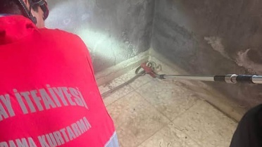 Antakya'da evin içine giren yılan zarar verilmeden yakalanıp doğaya bırakıldı