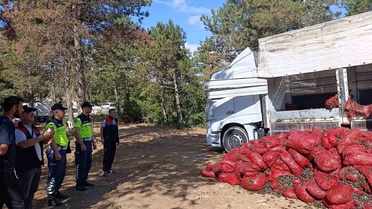 Bursa Orhangazi'de denetimde 8 ton midye ele geçirildi, iki sürücüye ceza