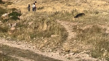 Yaylada kaybolan Büşra bebeğin kanlı elbiselerine 2 gün sonra ulaşıldı