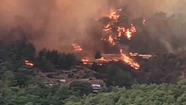 Kumluca'daki orman yangınında bahçe sahibi tutuklandı, 10 ev zarar gördü