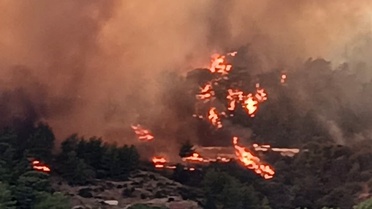 Kumluca'daki orman yangınında zeytin bahçesi sahibi tutuklandı