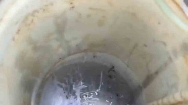 Adıyaman'da sondaj kuyusuna düşen yavru kedi itfaiye tarafından kurtarıldı