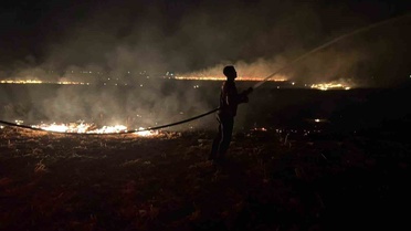 Hatay Reyhanlı'da mısır anızı yangını çevreye sıçramadan söndürüldü
