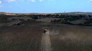 Tekirdağ'da ayçiçeği tarlasının tohumdan hasada yolculuğu dronla görüntülendi