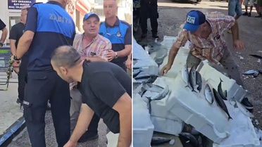 Zabıta uyardı, esnaf çılgına döndü! Balıkları tek tek yere fırlattı
