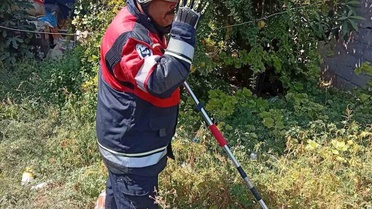 Antakya ve Reyhanlı'da yaşam alanlarına giren yılanlar itfaiyece doğaya salındı