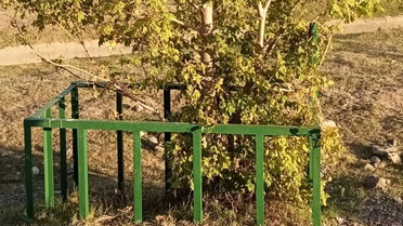 Çanakkale ruhu Erzurum yolunda