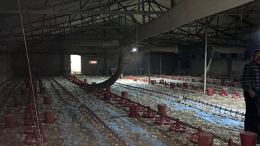 Bolu Göynük'te kümeste çıkan yangında 24 bin civciv öldü