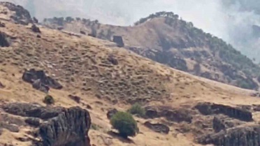 Tunceli Nazımiye'de orman yangını, sarp arazi nedeniyle havadan müdahale sürüyor