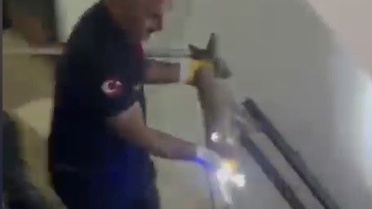 Osmaniye'de binanın 3'üncü katına çıkan tilki itfaiyece yakalanıp doğaya bırakıldı