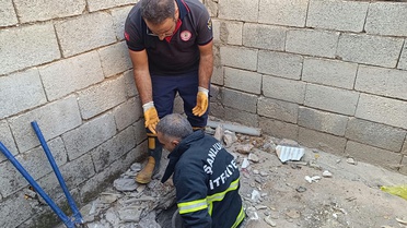 Şanlıurfa'da 6 metre derinliğindeki foseptik çukuruna düşen kedi kurtarıldı