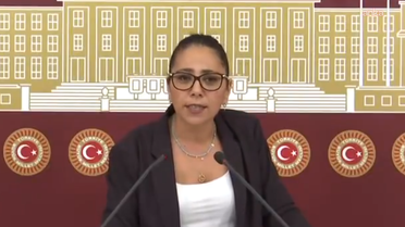 Sera Kadıgil: Muhalefeti yok etme operasyonu sürüyor