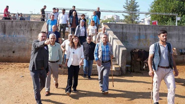 Diyarbakır Hayvan Borsası'na kış öncesi geçici kapalı alan yapılacak