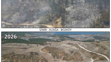 İzmir'de yanan 907 hektarlık alanda dikim hazırlığı tamamlandı
