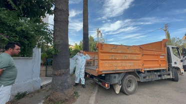 Marmaris'teki daireden bir kamyon çöp ve 30'a yakın kedi çıkarıldı