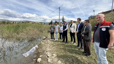 Sinop Durağan'da İkiz ve Karacören göletlerine 2 bin sazan yavrusu bırakıldı