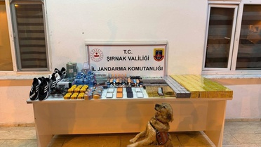 Şırnak'ta kaçakçılık operasyonlarında yakalanan 29 şüpheliden 1'i tutuklandı