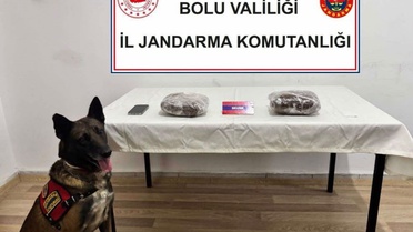 TEM'de yolcu otobüsünde 810 gram skunk ve 1 gram kokain ele geçirildi