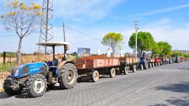 TMO Manisa'da kuru üzüm alımına başladı, Saruhanlı'da traktör kuyruğu oluştu