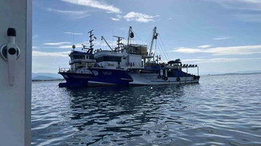 Didim açıklarında balıkçı teknelerine dalgıçlı denetim yapıldı