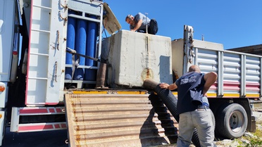 Erzincan'da baraj ve göletlere 1,2 milyon sazan yavrusu bırakıldı