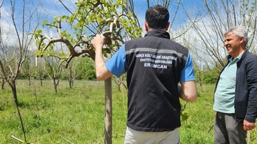 Erzincan'da çiftçilere saha desteği sürüyor, uzmanlar bitki gelişimini inceliyor